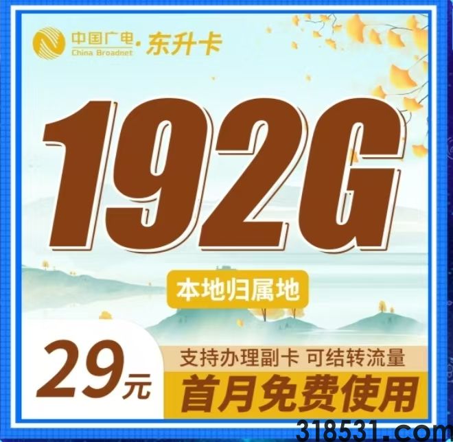 运营商官方流量卡100G200G 十几元二十几元超值流量套餐